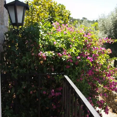Casa Magnolias De *